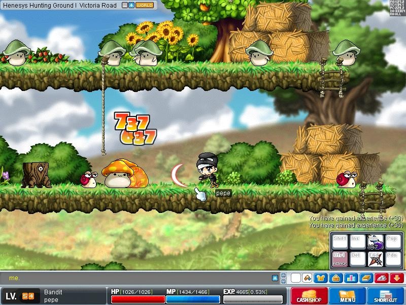 Скриншот из игры MapleStory - 50