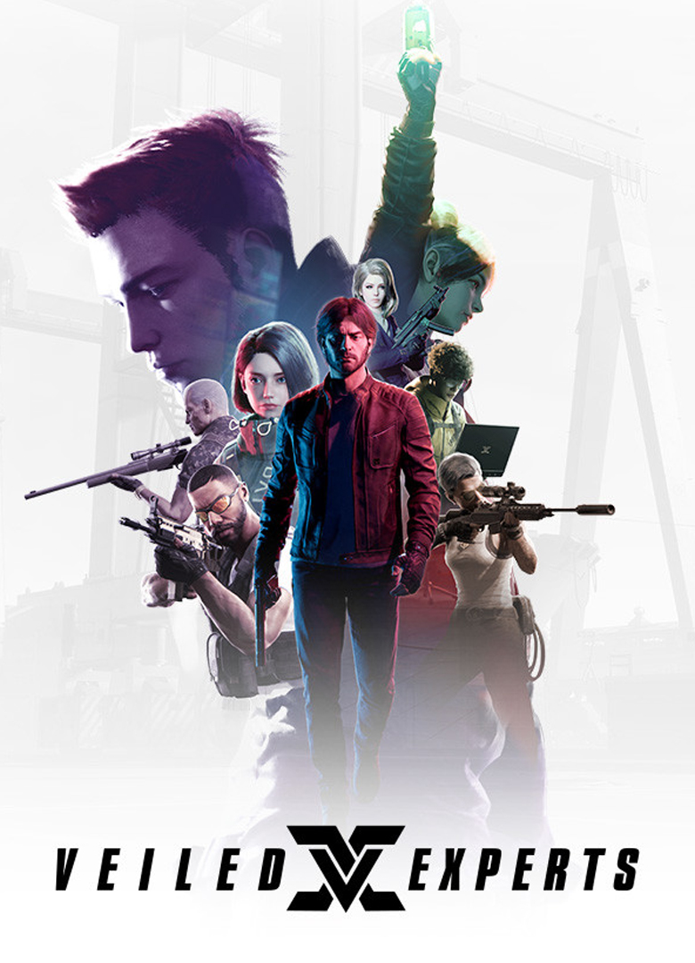 Обложка игры Veiled Experts
