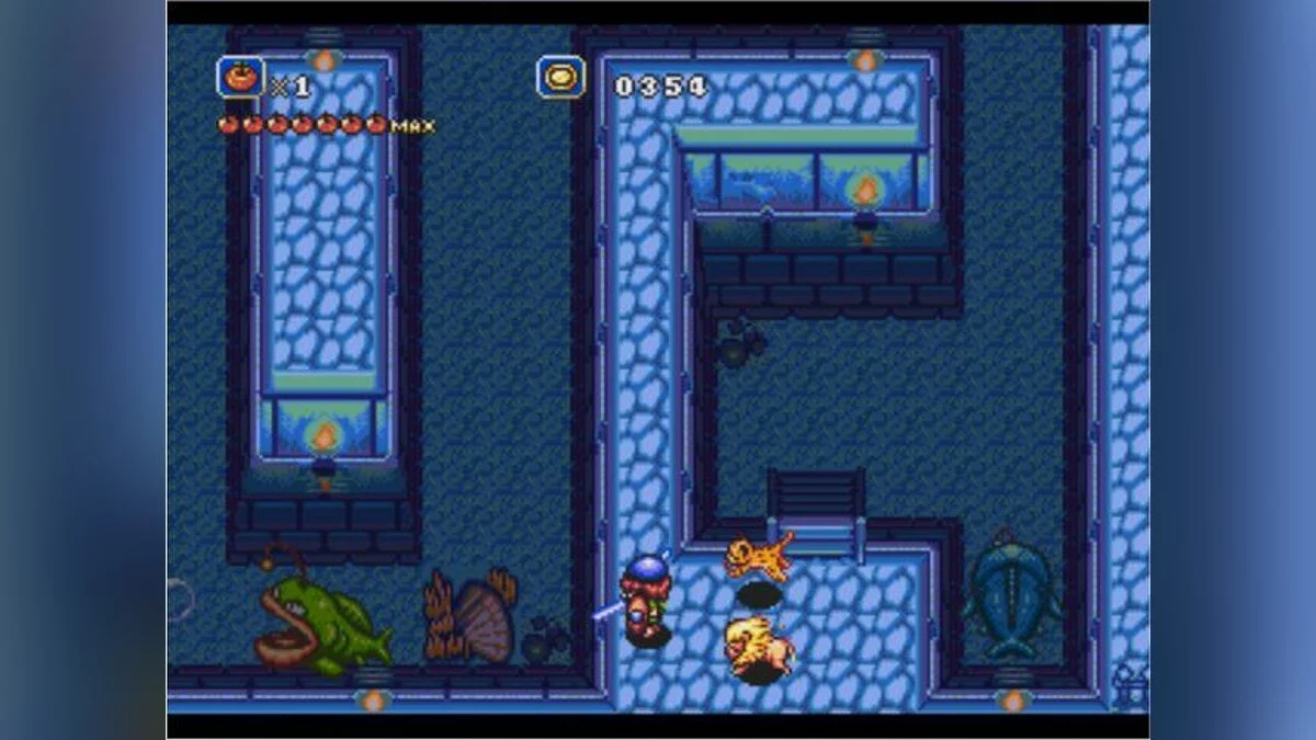 Скриншот из игры Crusader of Centy - 15