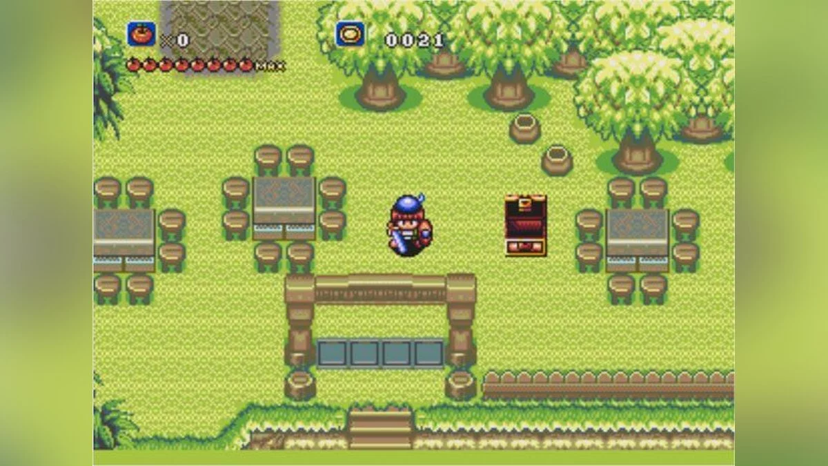 Скриншот из игры Crusader of Centy - 12