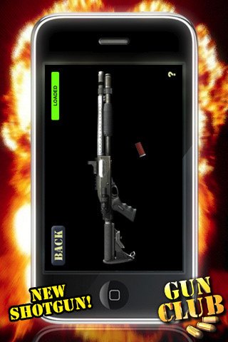 Скриншот из игры GUN CLUB - 2