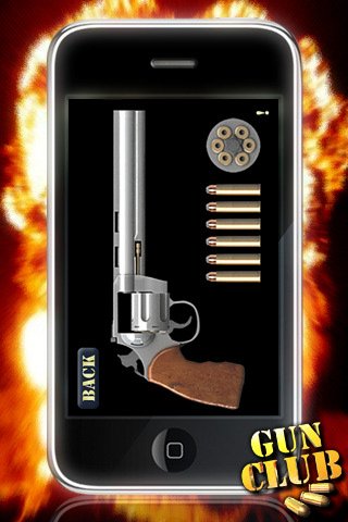 Скриншот из игры GUN CLUB - 5
