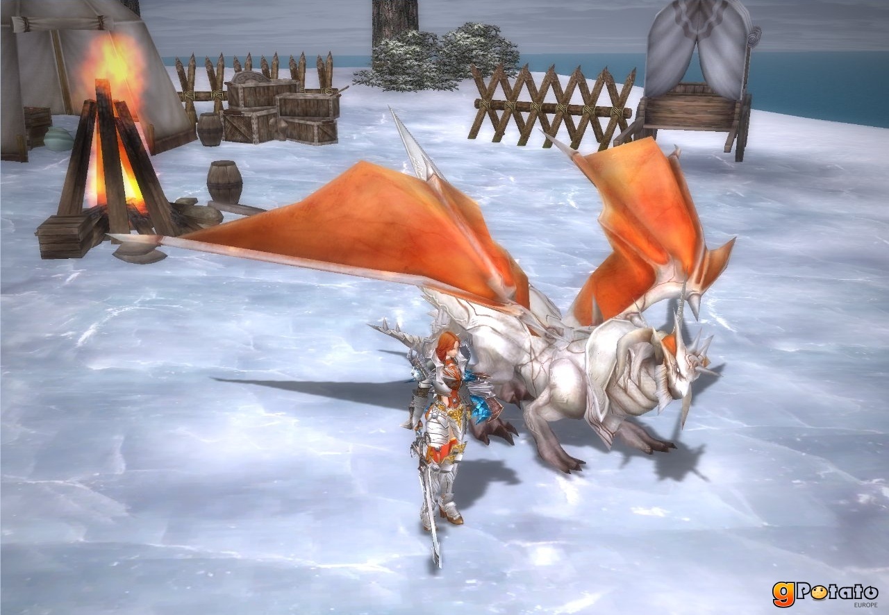 Скриншот из игры Rappelz - 41