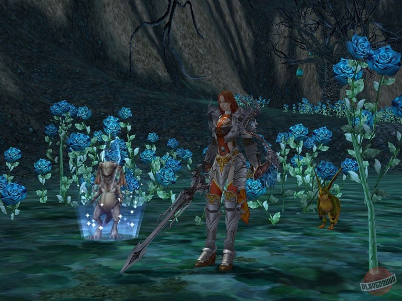 Скриншот из игры Rappelz - 46