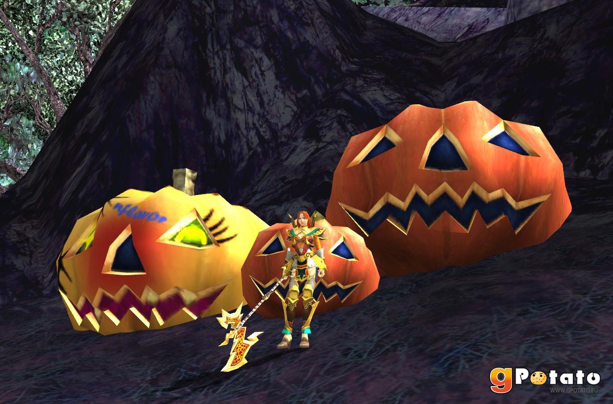 Скриншот из игры Rappelz - 102