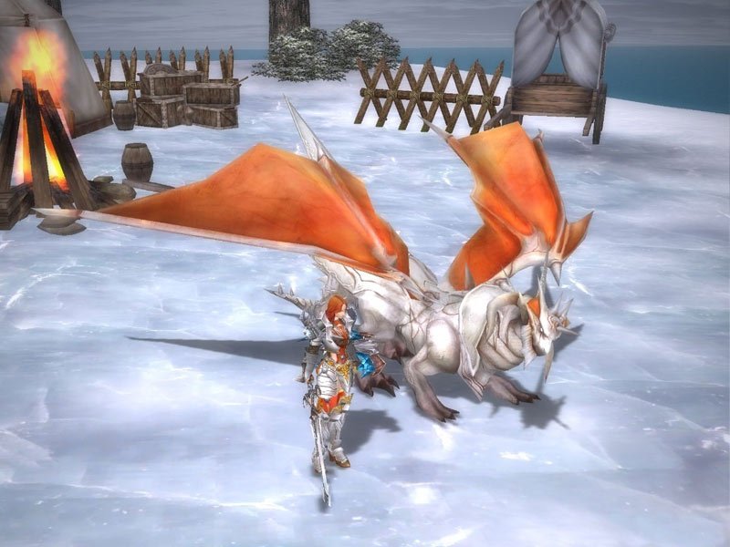 Скриншот из игры Rappelz - 15