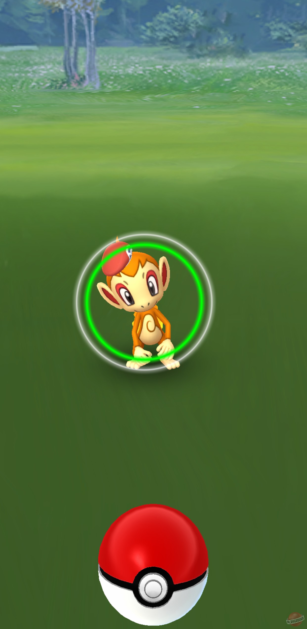 Скриншот из игры Pokemon Go - 20