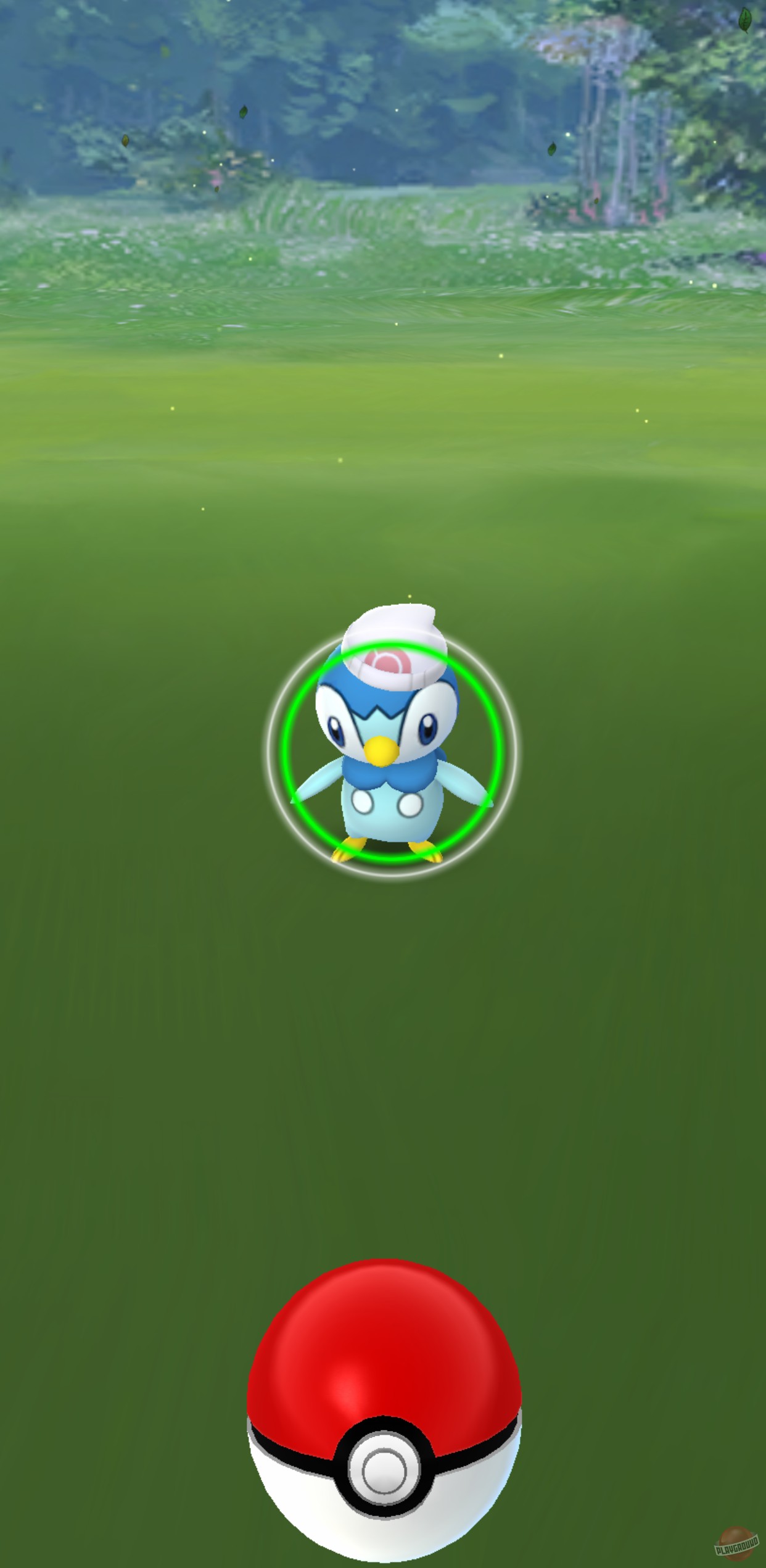 Скриншот из игры Pokemon Go - 11