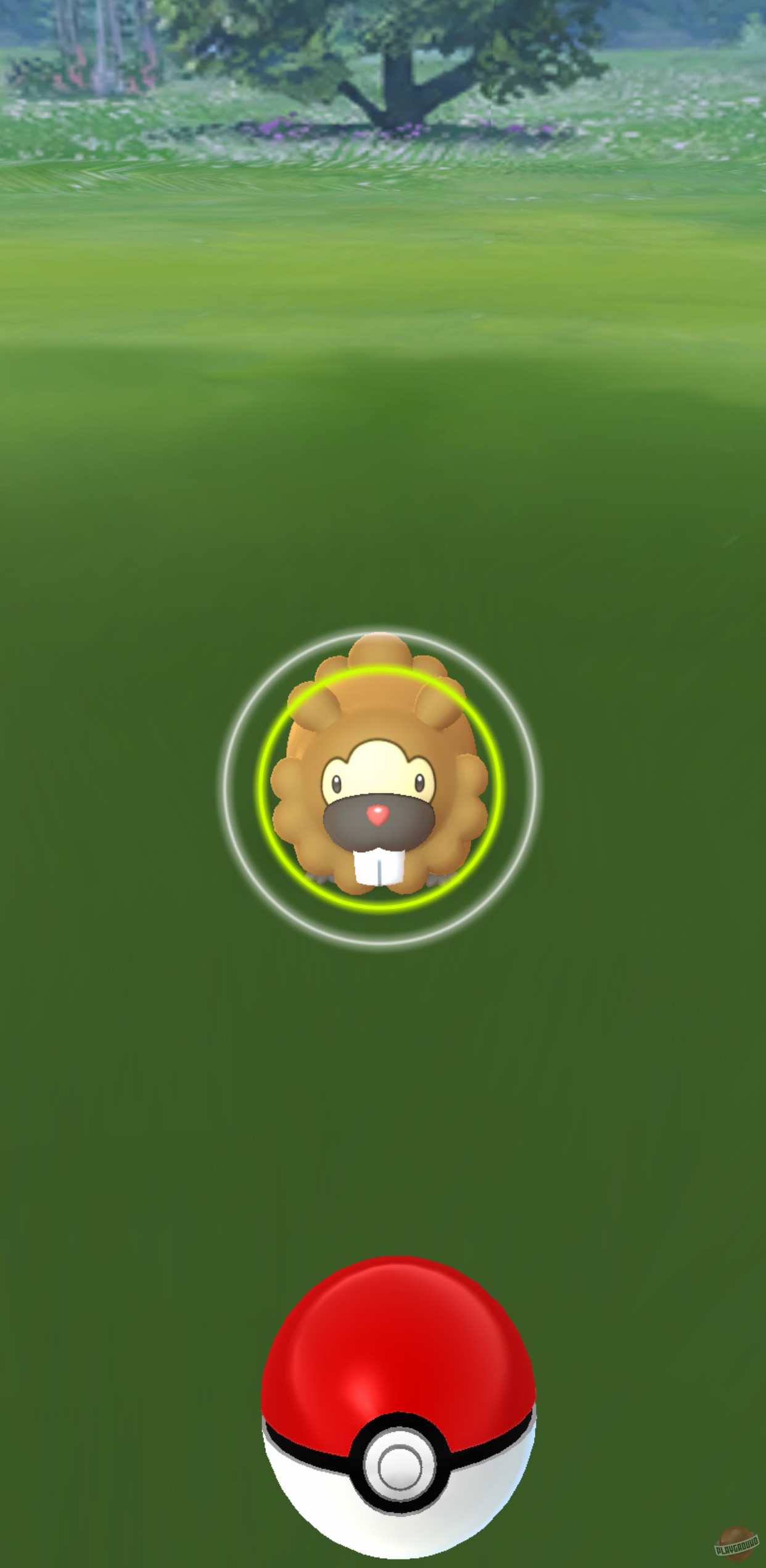 Скриншот из игры Pokemon Go - 13