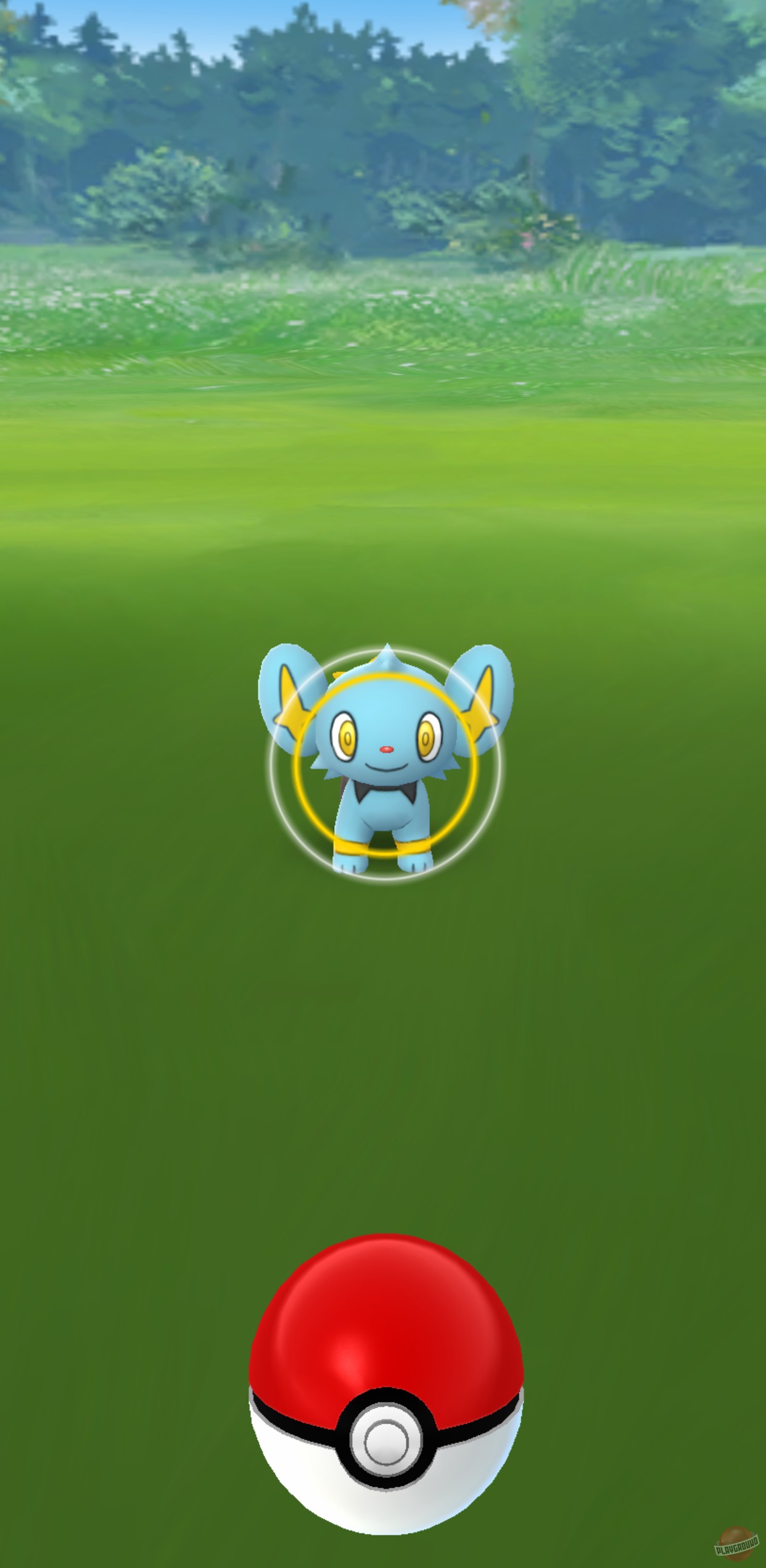 Скриншот из игры Pokemon Go - 16