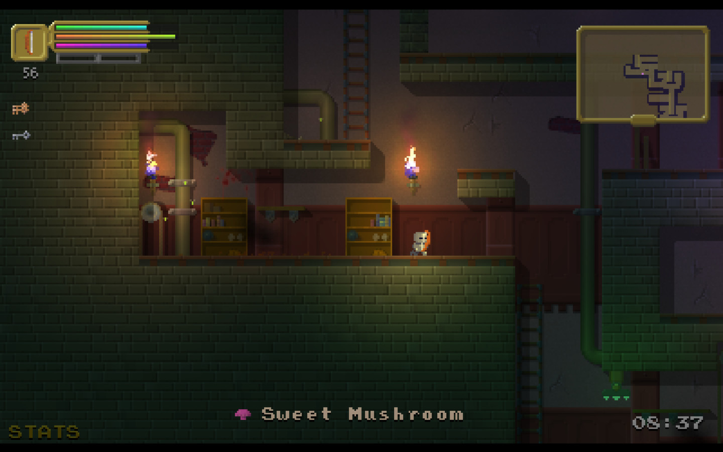 Скриншот из игры The Dungeoning - 10