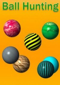 Обложка игры Ball Hunting