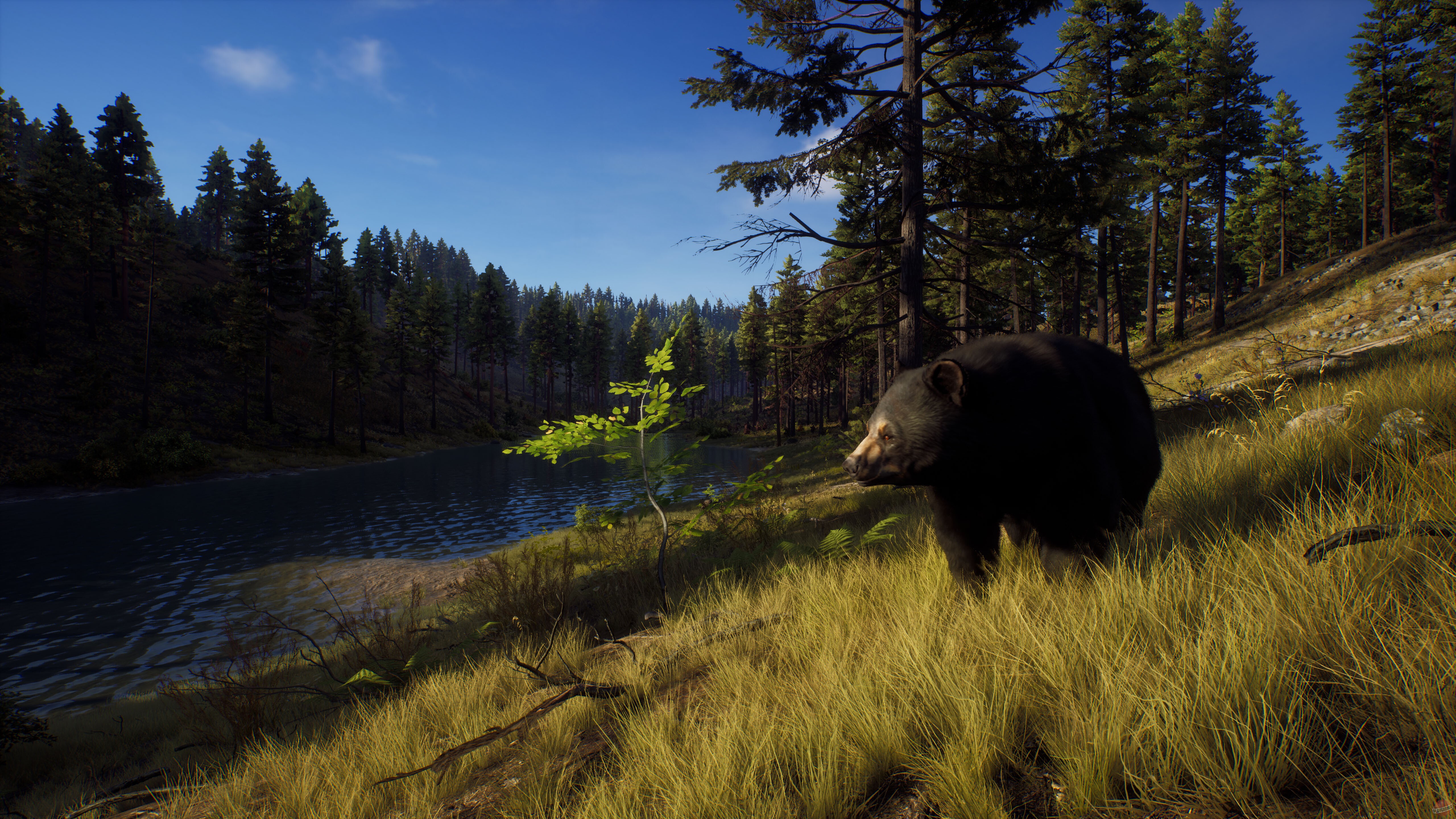 Скриншот из игры Way of the Hunter - 20