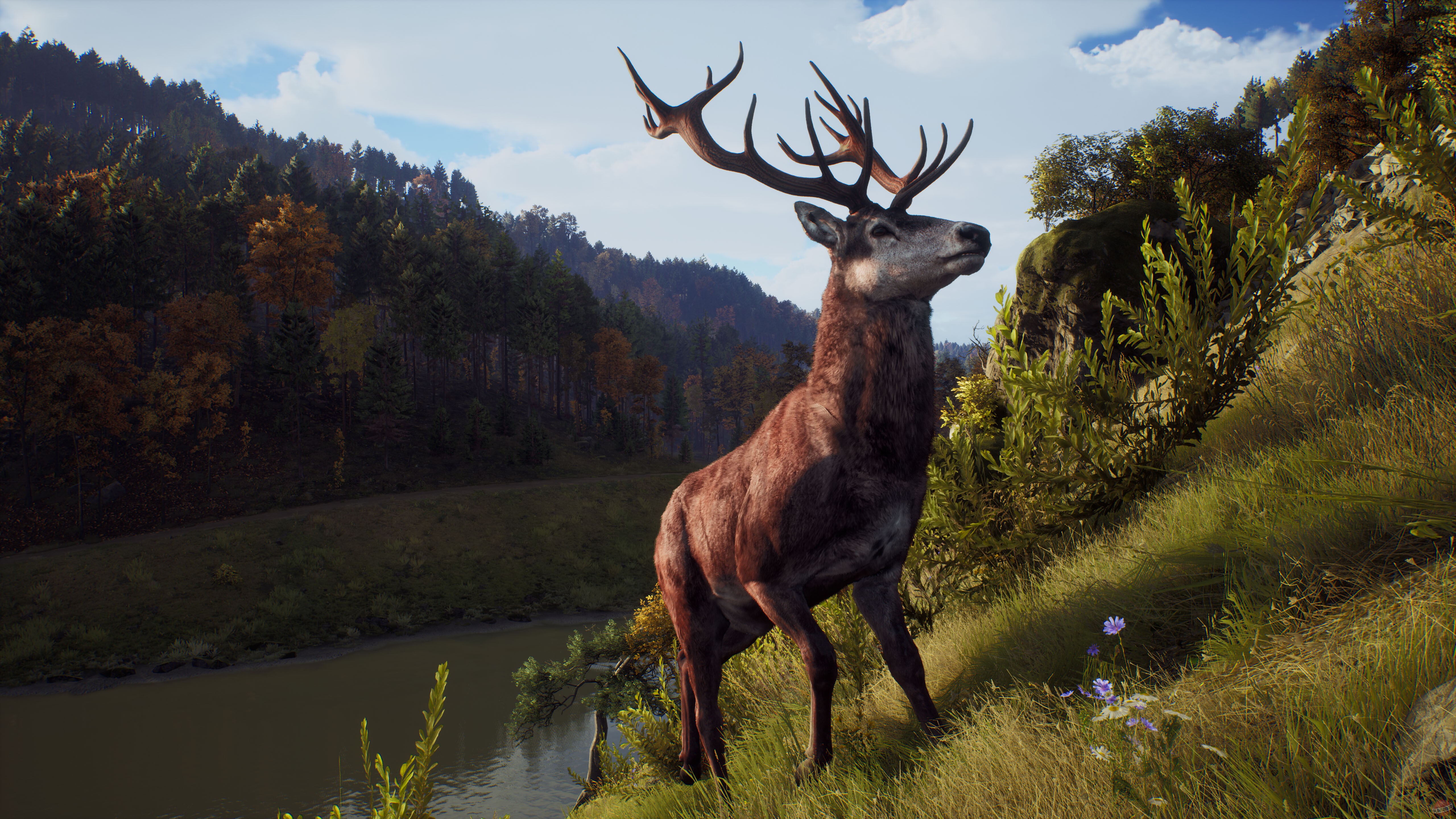Скриншот из игры Way of the Hunter - 38