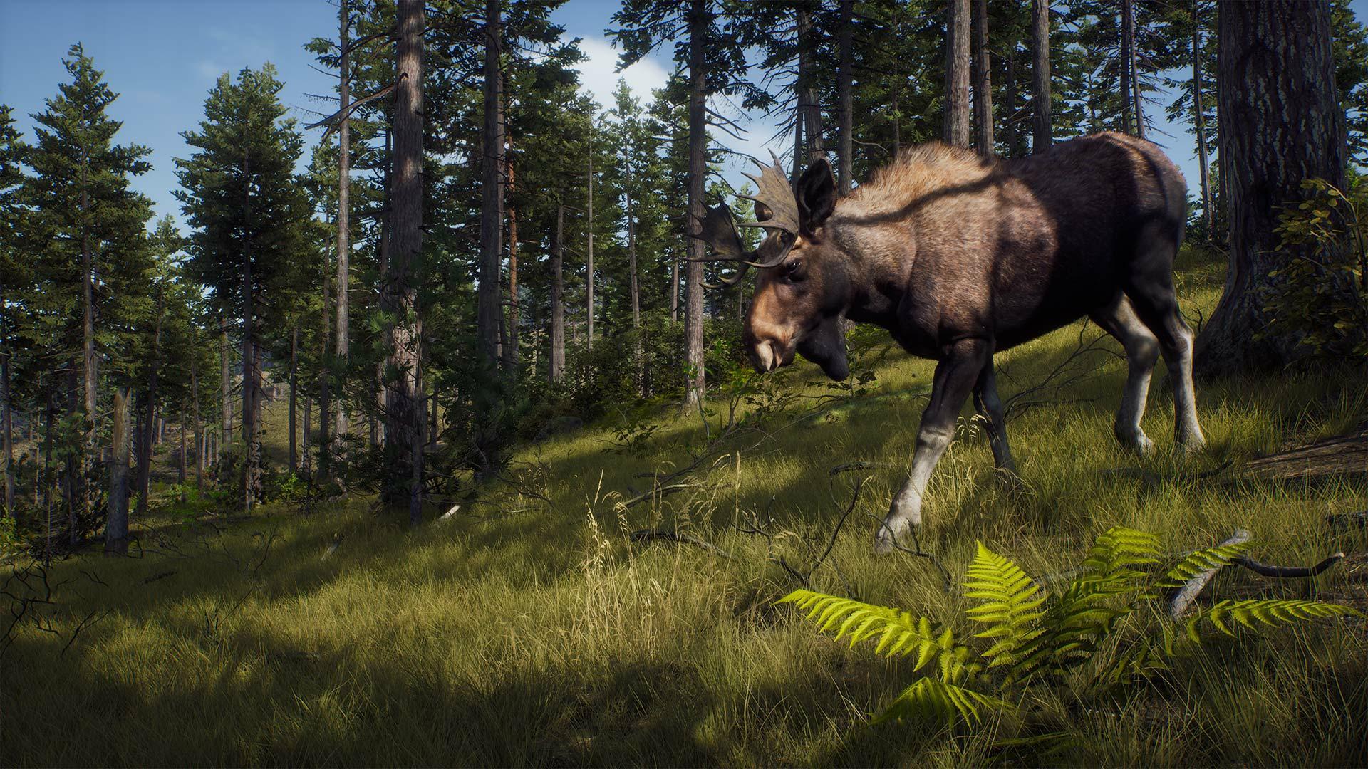 Скриншот из игры Way of the Hunter - 62