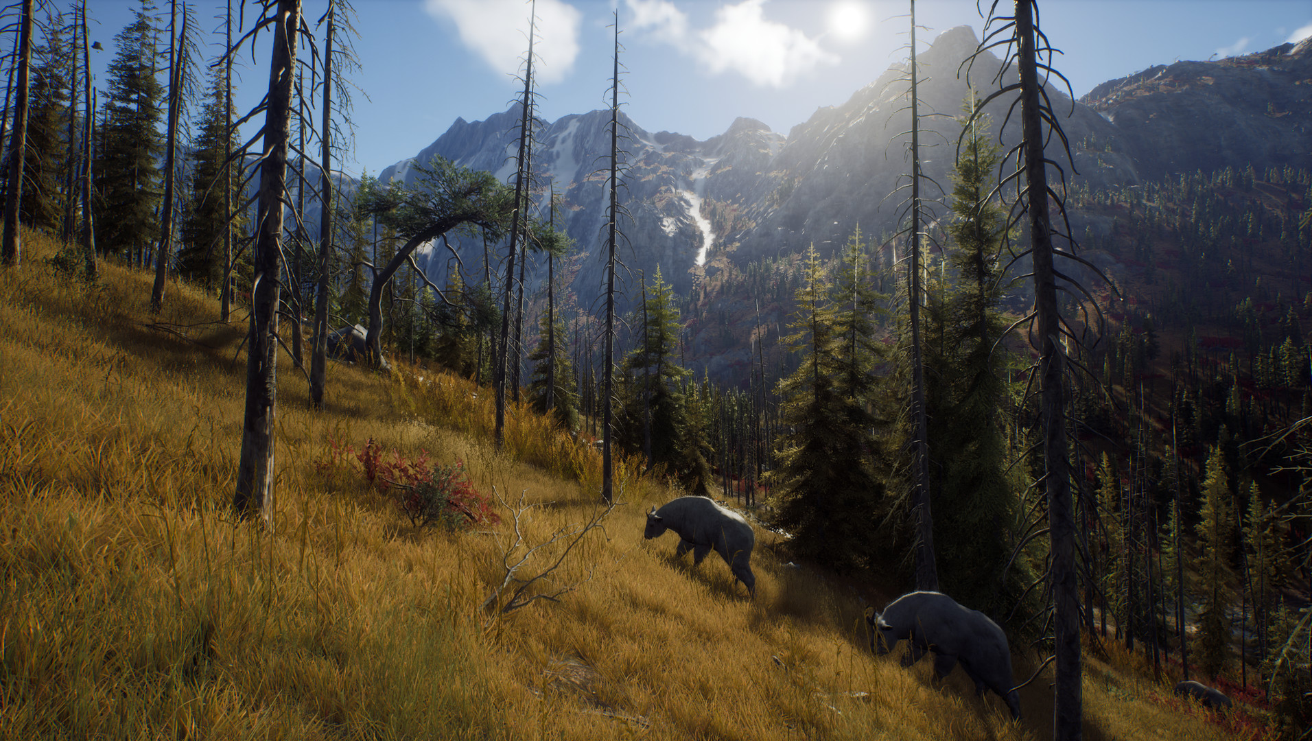 Скриншот из игры Way of the Hunter - 32