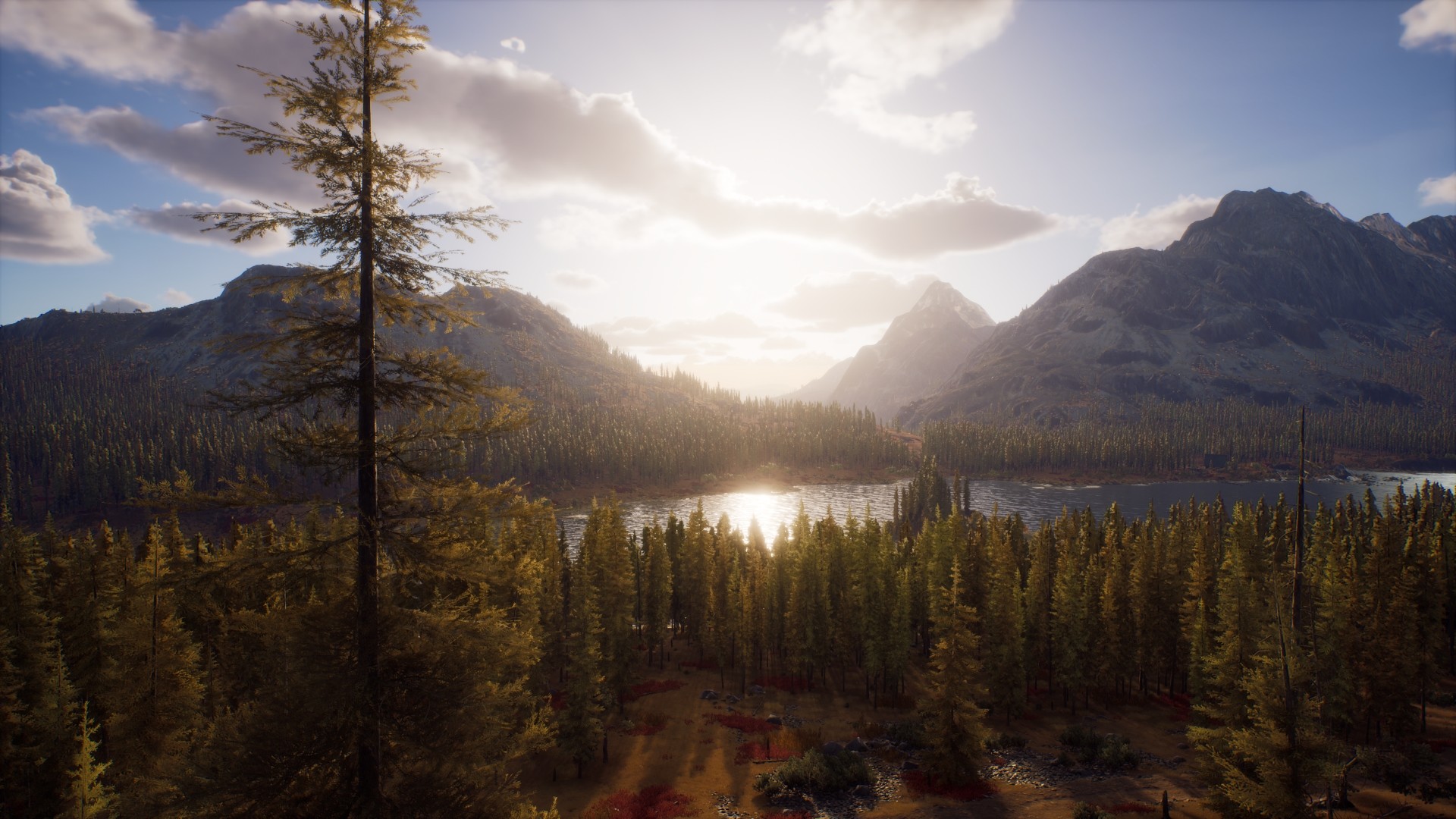 Скриншот из игры Way of the Hunter - 7