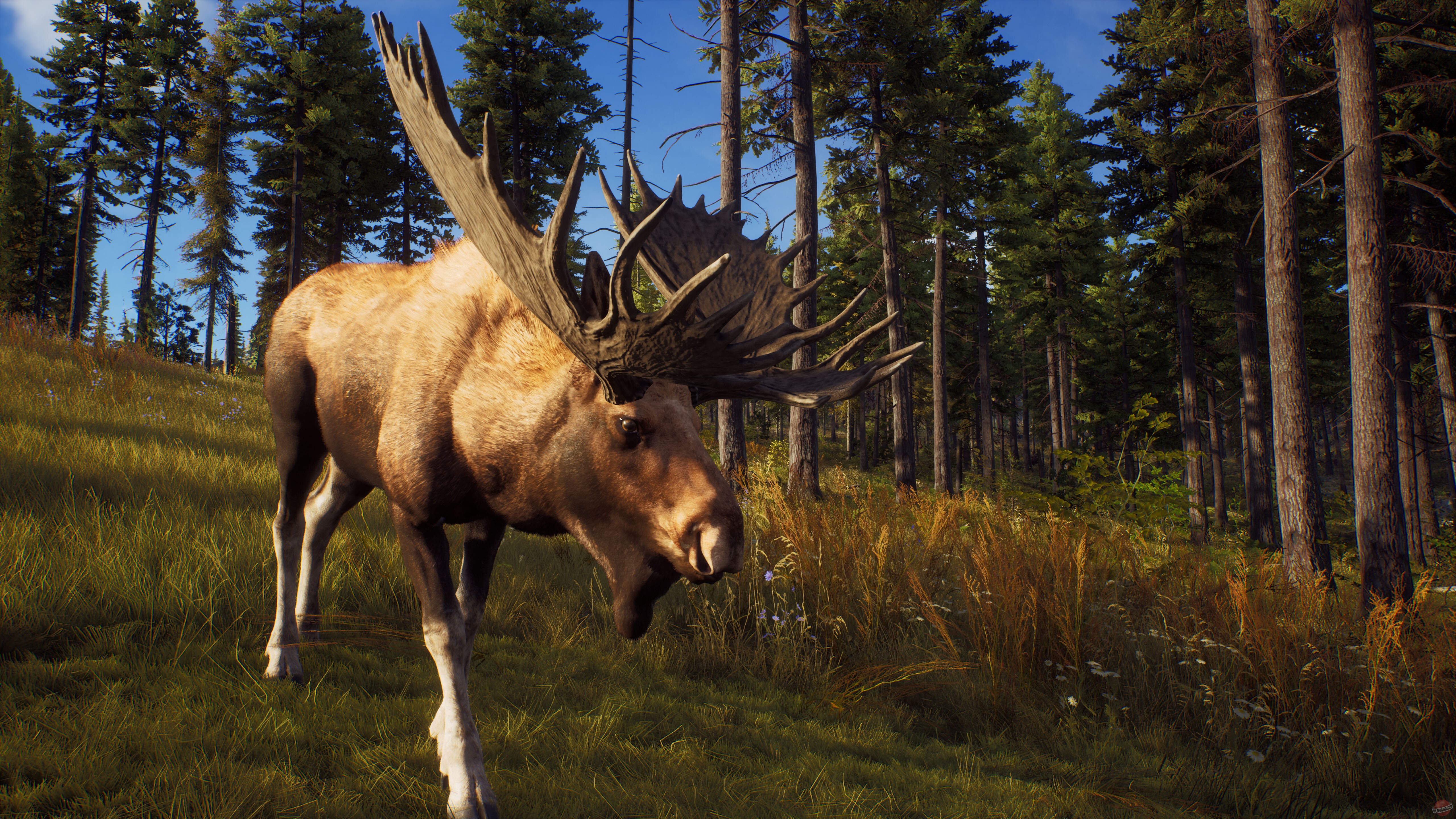 Скриншот из игры Way of the Hunter - 43
