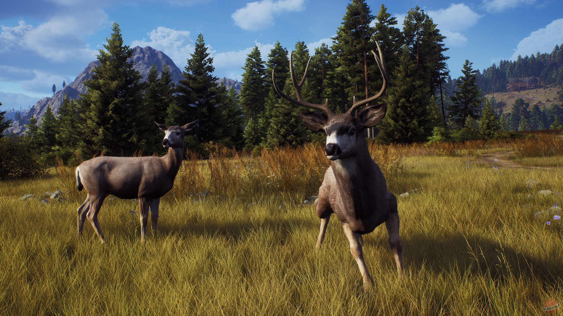 Скриншот из игры Way of the Hunter - 23