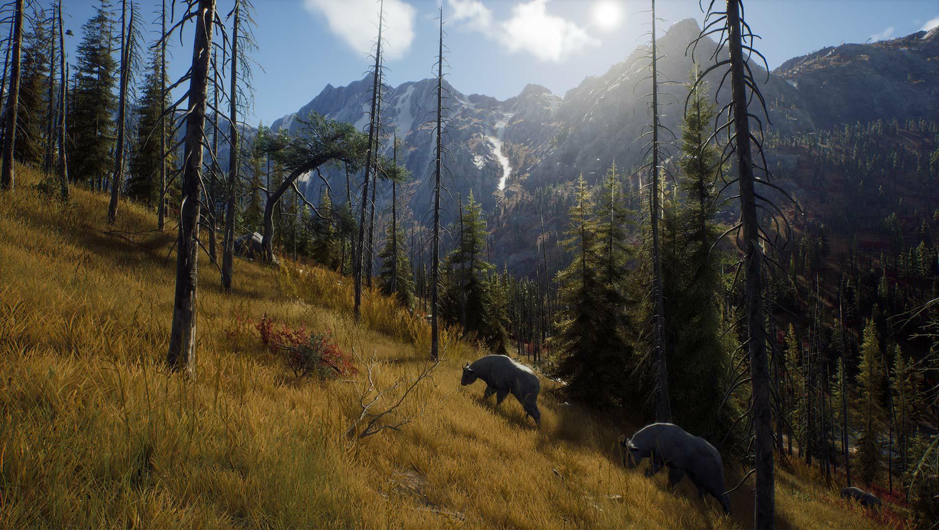 Скриншот из игры Way of the Hunter - 63