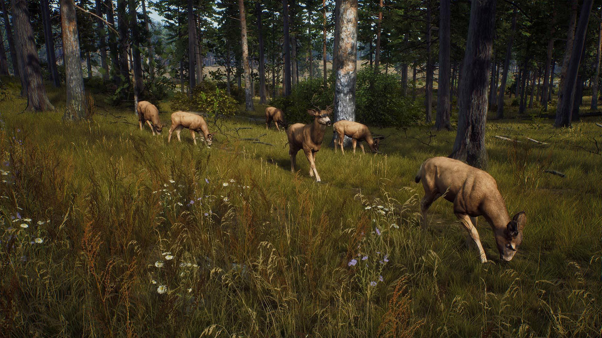 Скриншот из игры Way of the Hunter - 60