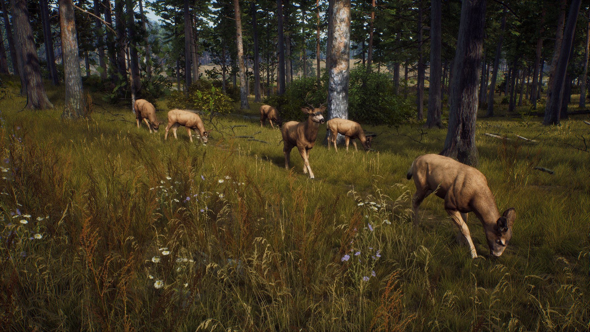 Скриншот из игры Way of the Hunter - 34