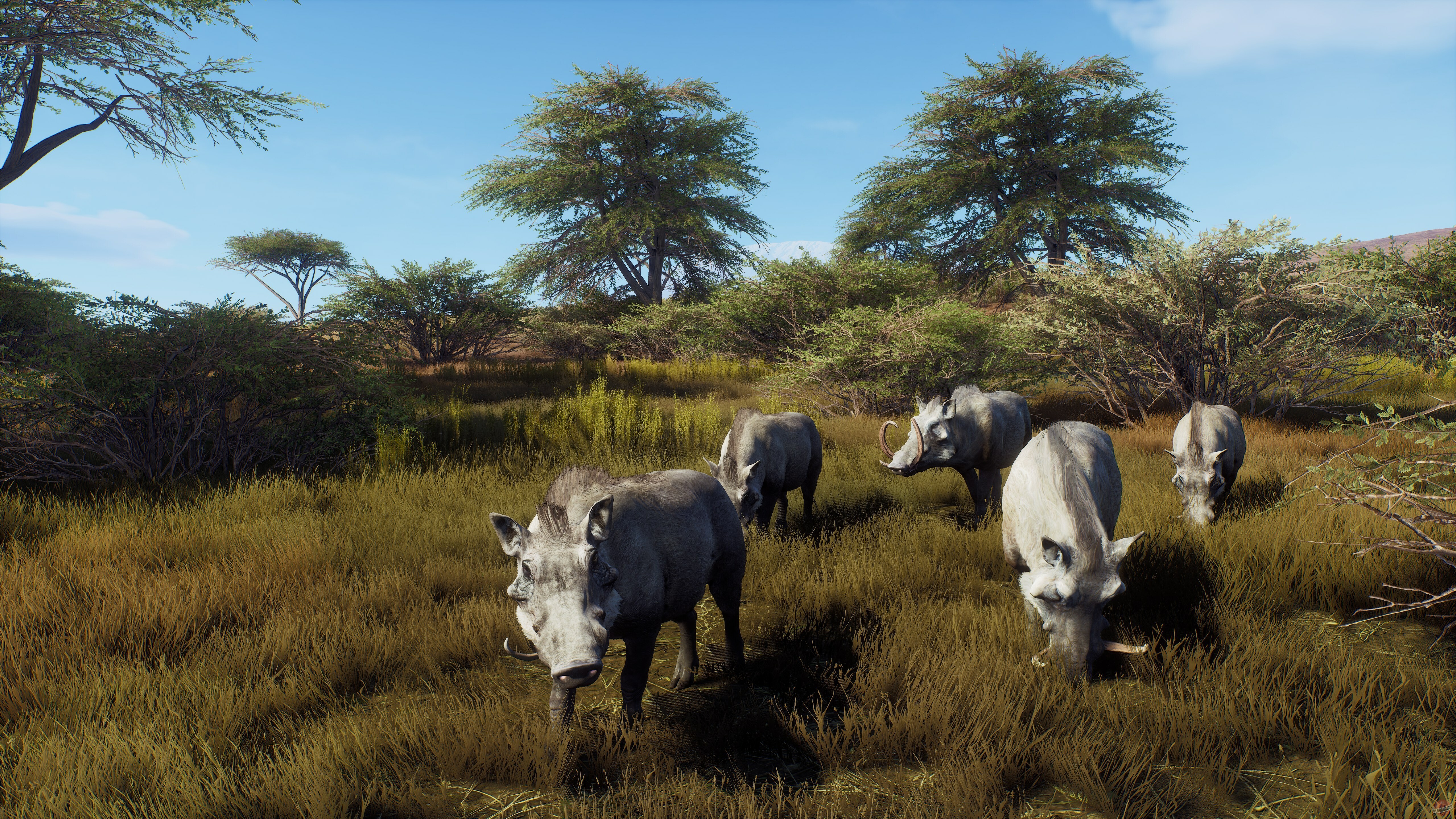 Скриншот из игры Way of the Hunter - 47