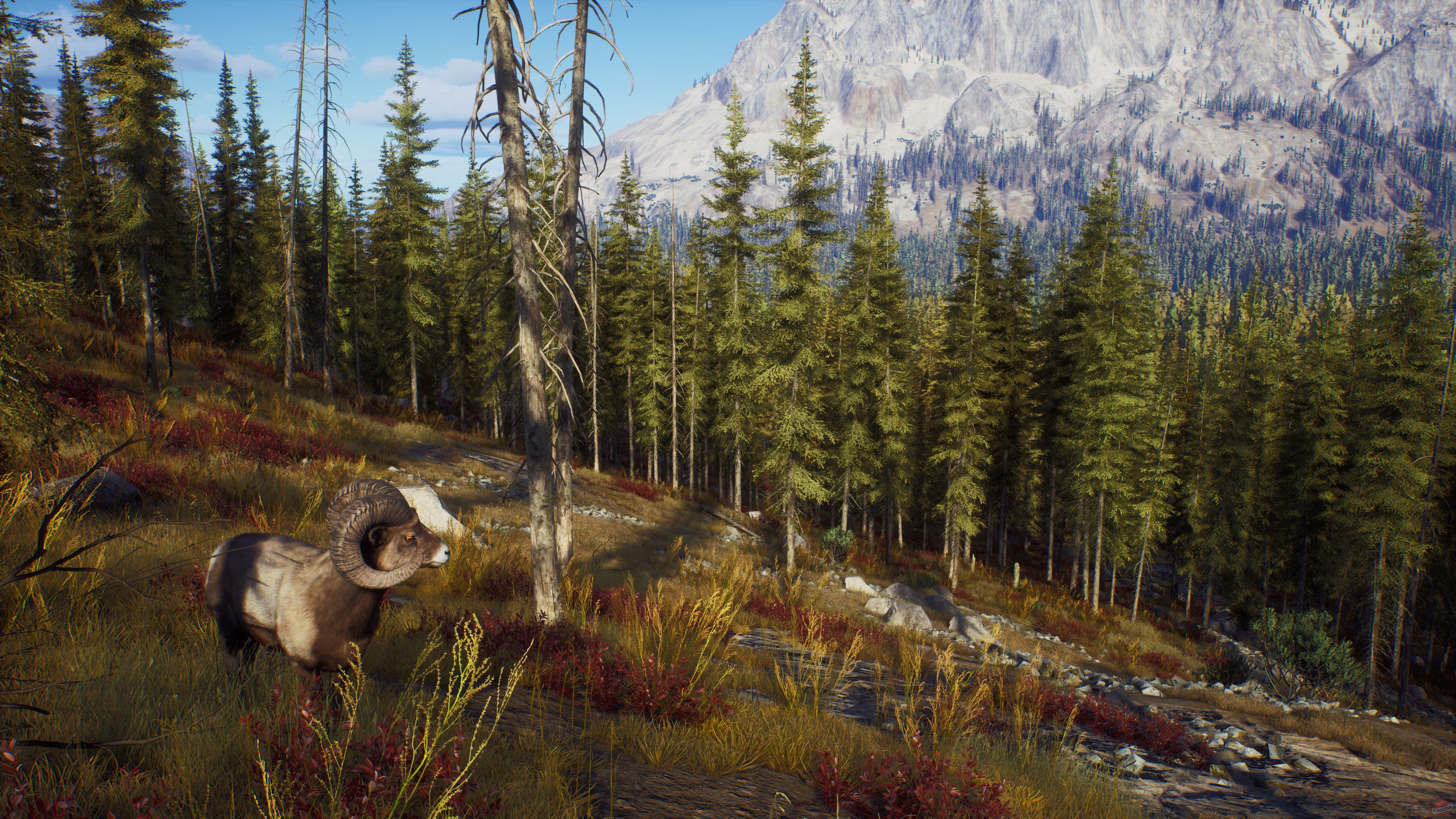 Скриншот из игры Way of the Hunter - 50