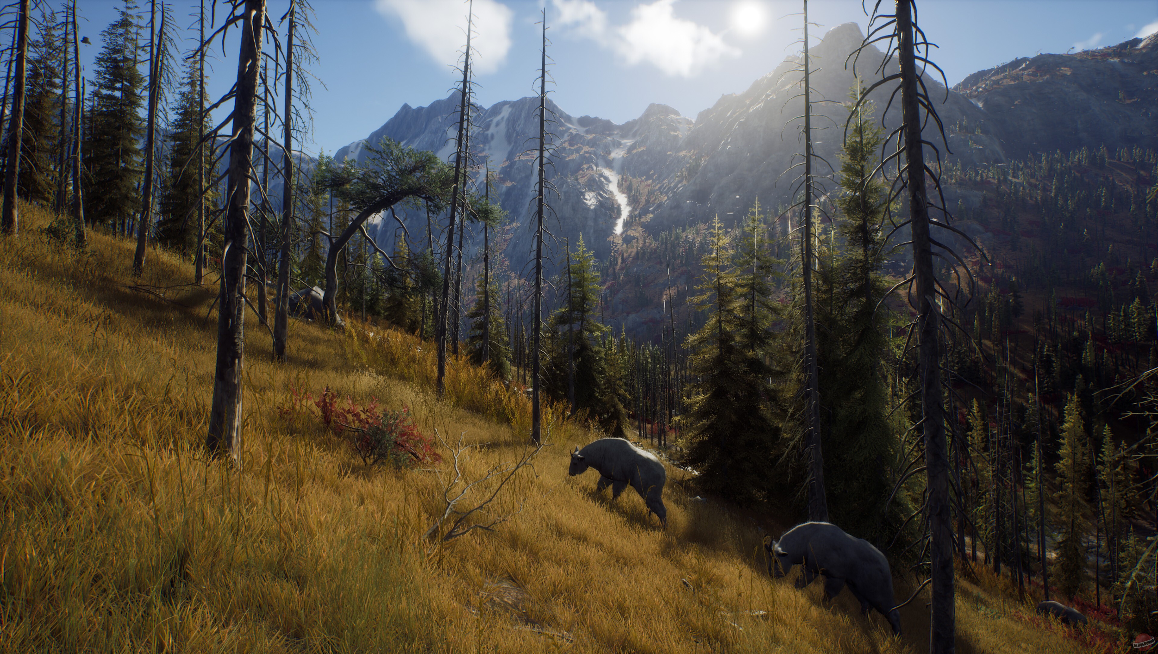 Скриншот из игры Way of the Hunter - 53