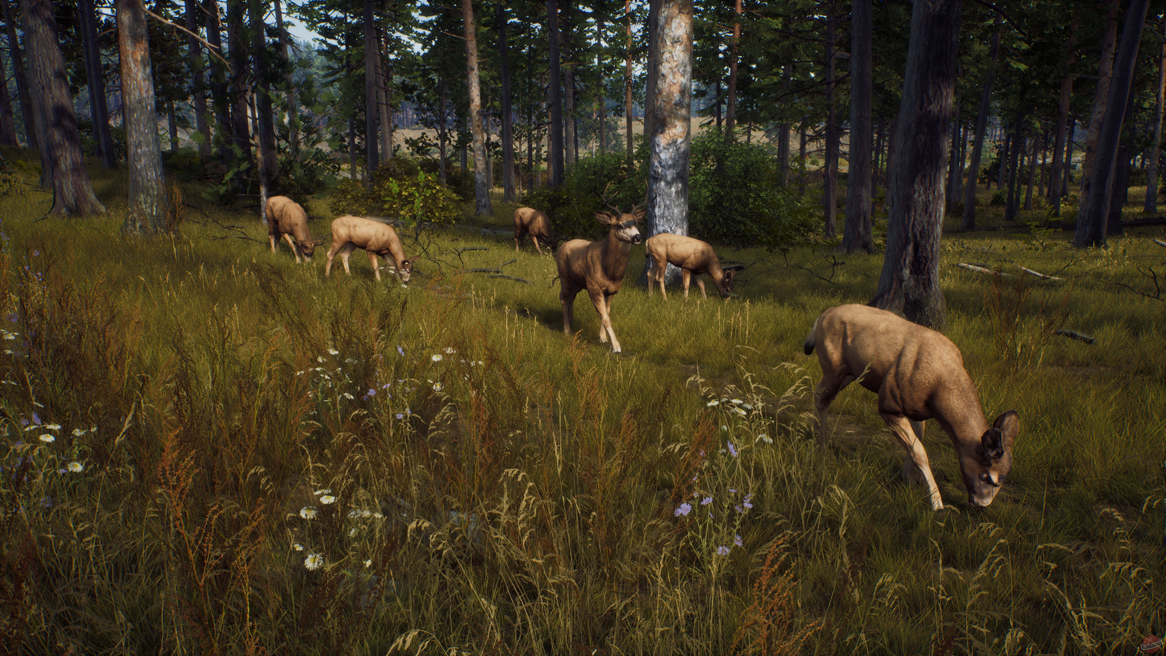 Скриншот из игры Way of the Hunter - 58