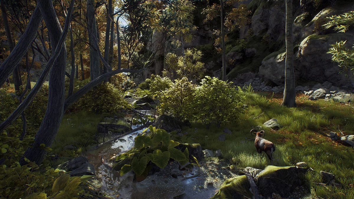Скриншот из игры Way of the Hunter - 15