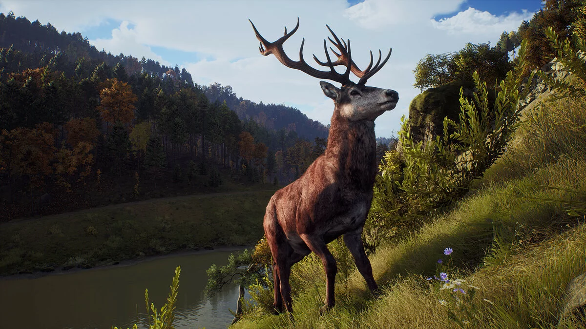 Скриншот из игры Way of the Hunter - 8