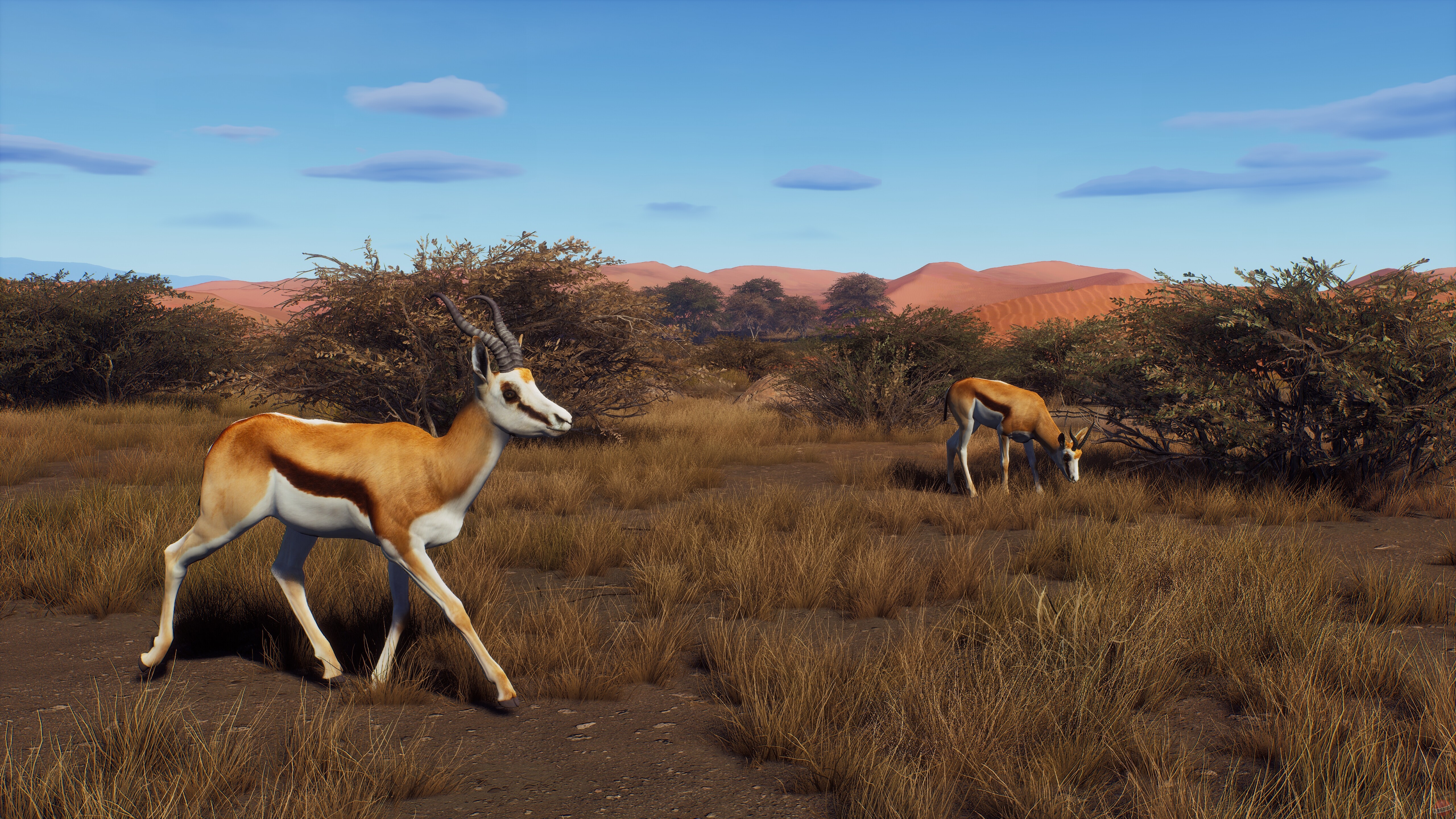 Скриншот из игры Way of the Hunter - 40