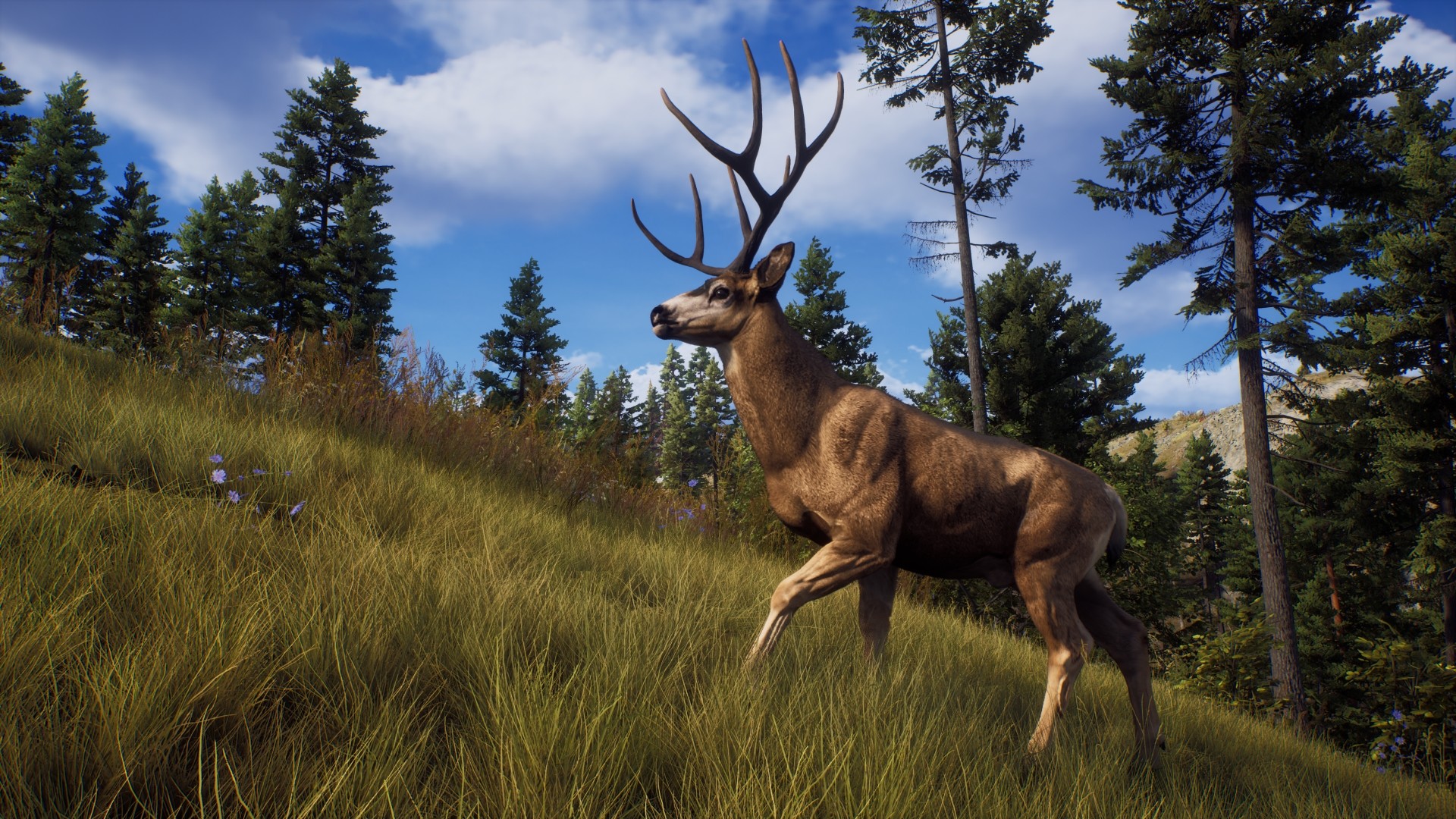 Скриншот из игры Way of the Hunter - 12