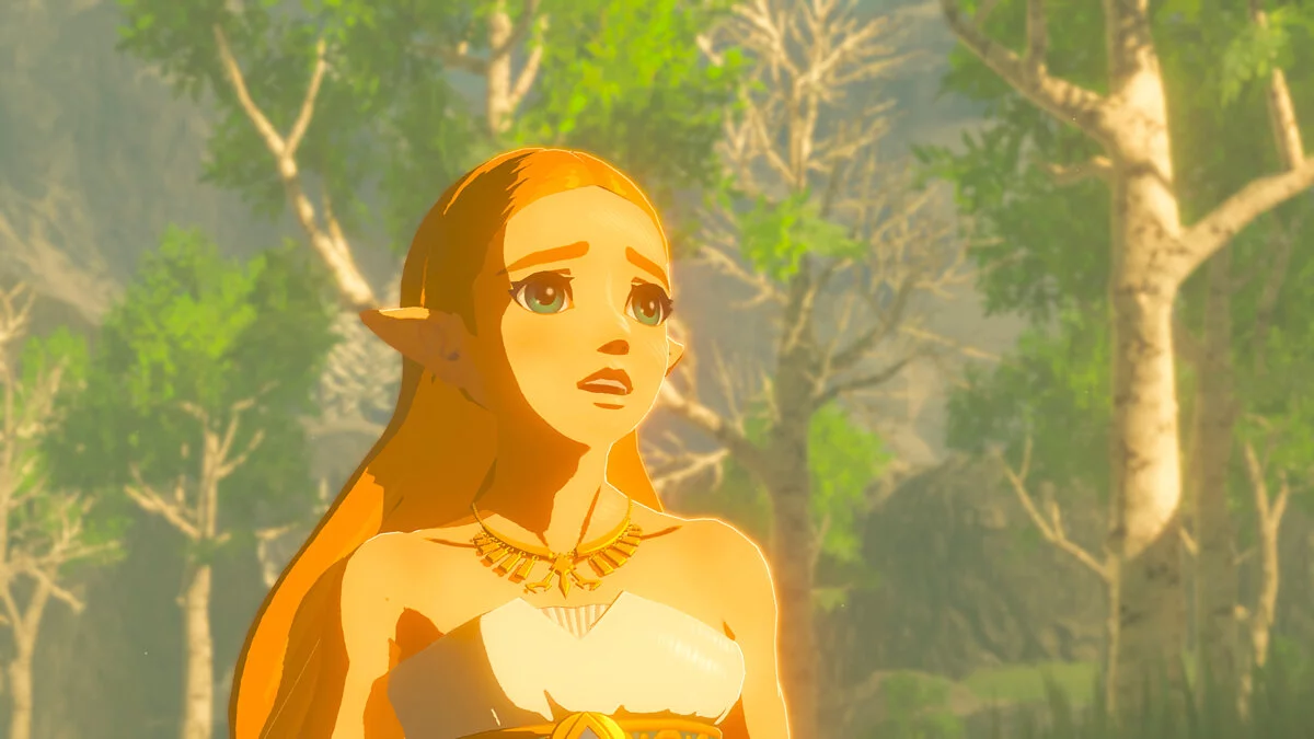 Скриншот из игры The Legend of Zelda: Breath of the Wild - 99