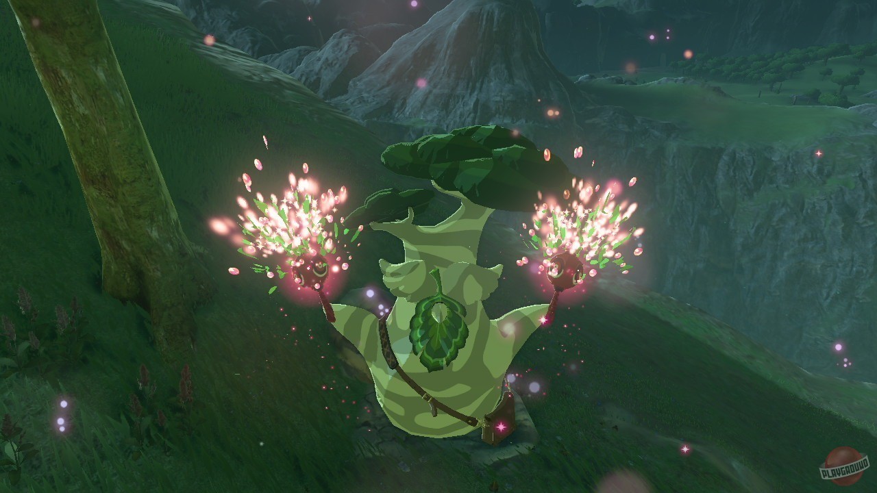 Скриншот из игры The Legend of Zelda: Breath of the Wild - 112