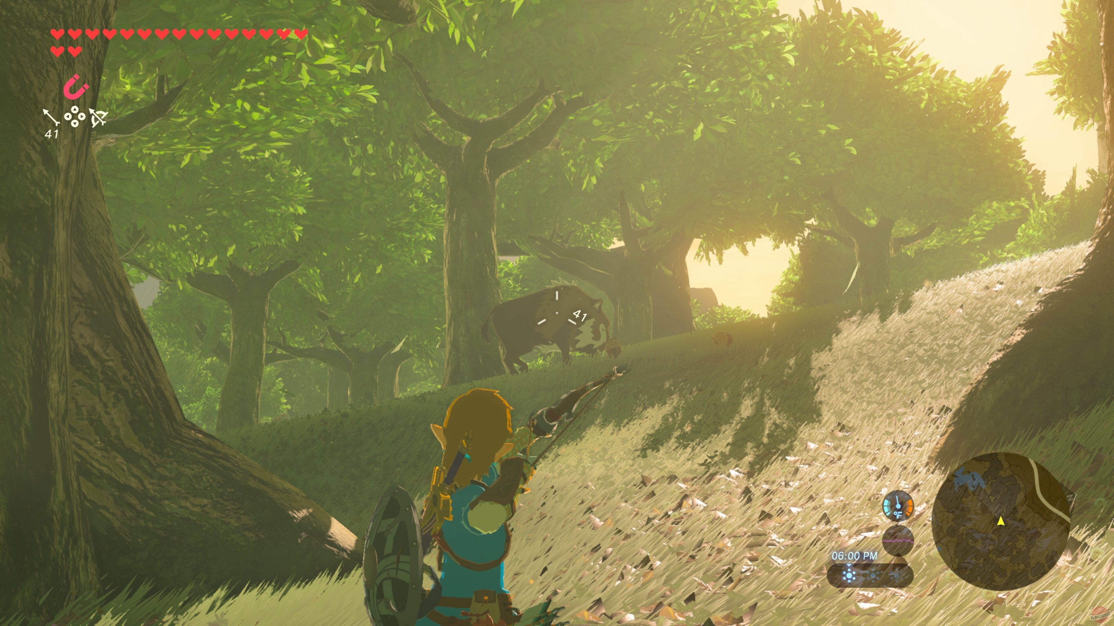 Скриншот из игры The Legend of Zelda: Breath of the Wild - 79