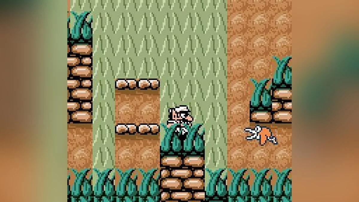 Скриншот из игры Wario Land 3 - 7