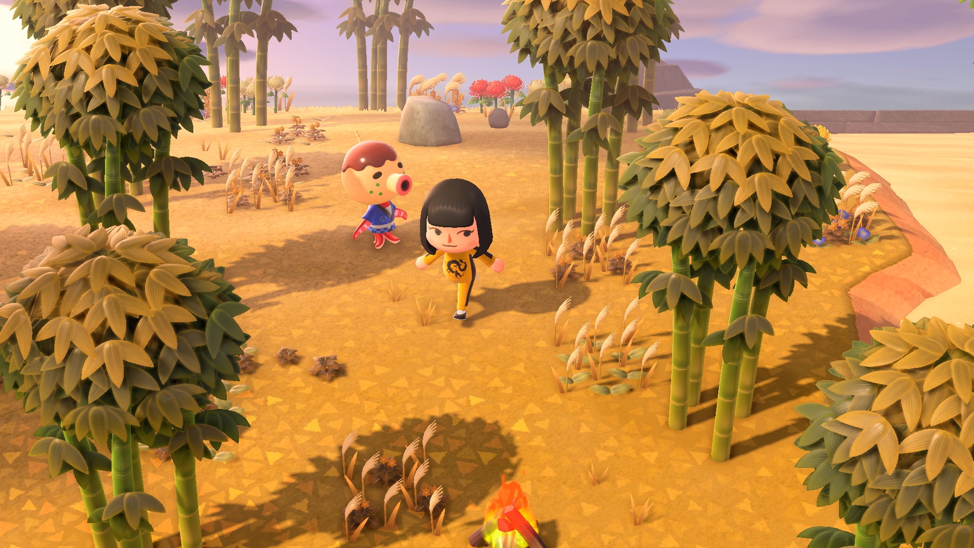 Скриншот из игры Animal Crossing: New Horizons - 42