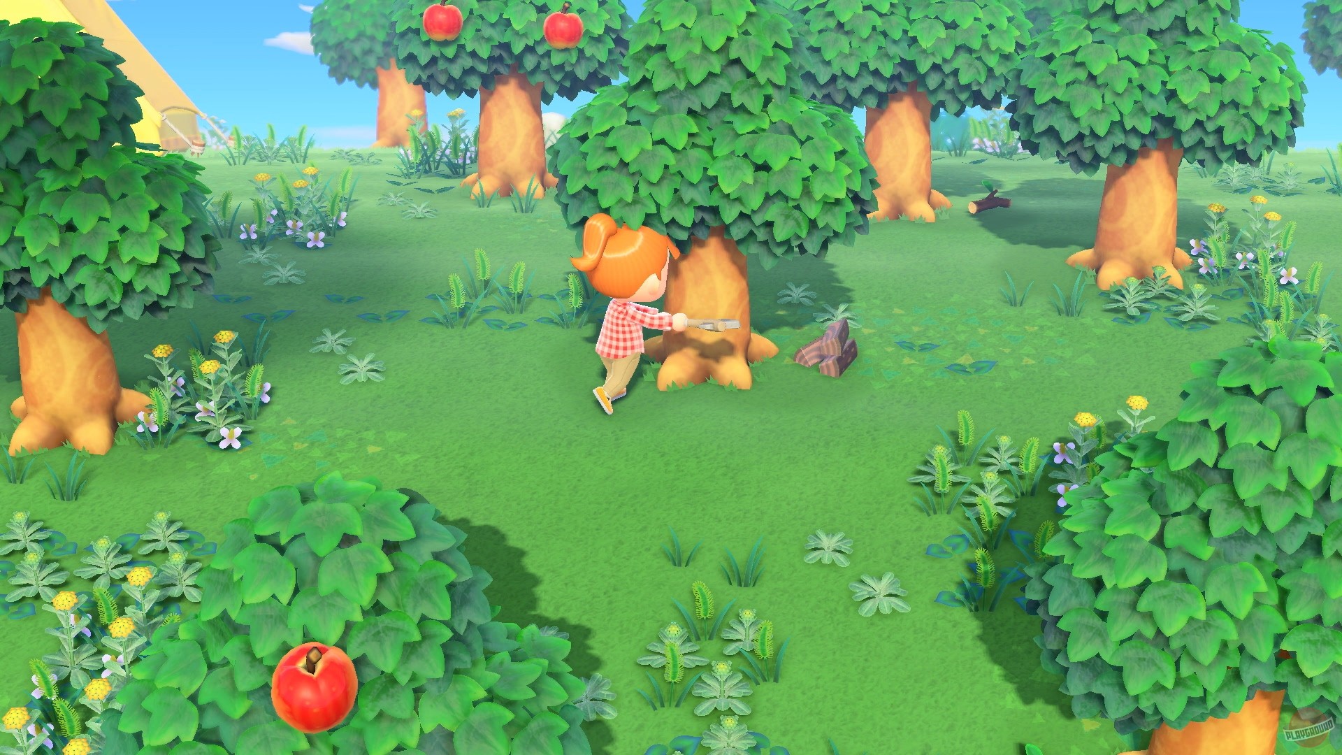 Скриншот из игры Animal Crossing: New Horizons - 39