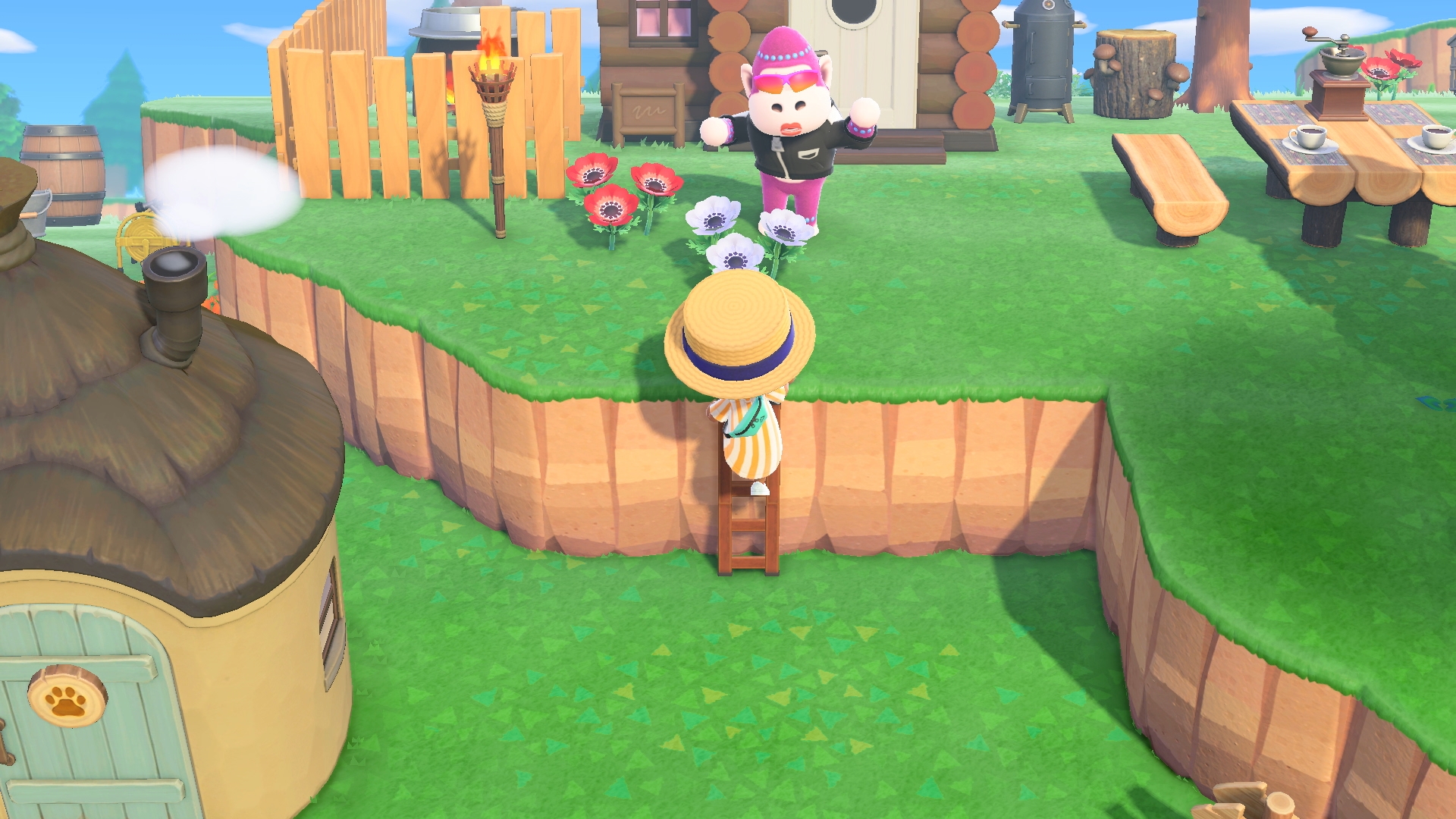 Скриншот из игры Animal Crossing: New Horizons - 7