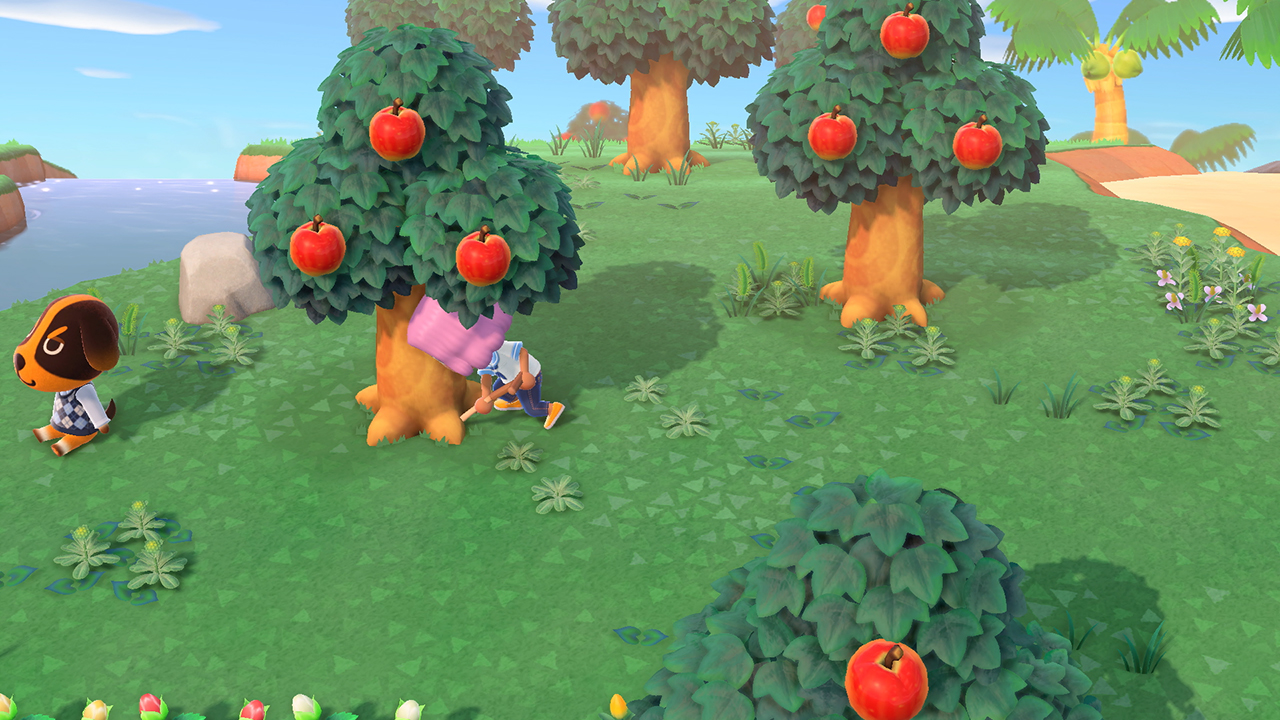 Скриншот из игры Animal Crossing: New Horizons - 50
