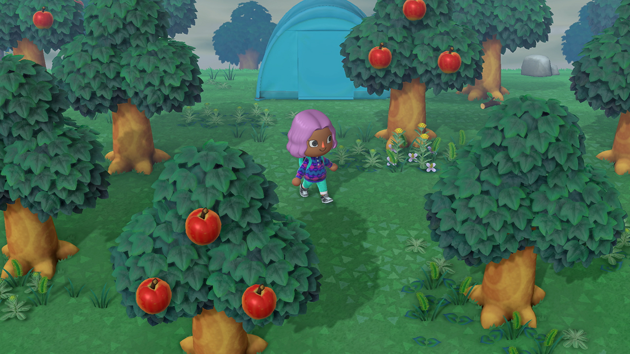 Скриншот из игры Animal Crossing: New Horizons - 74
