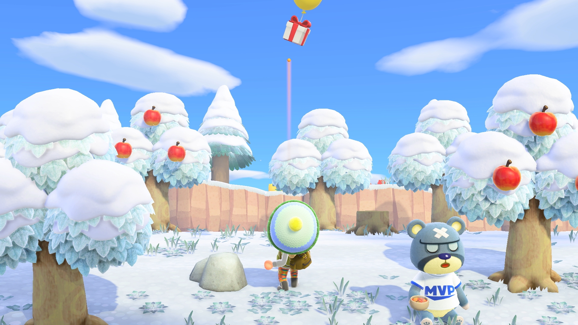Скриншот из игры Animal Crossing: New Horizons - 58