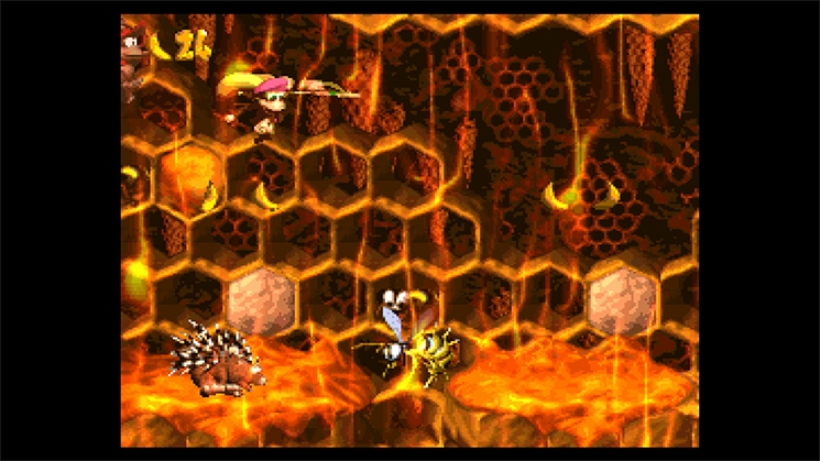 Скриншот из игры Donkey Kong Country 2: Diddy's Kong Quest - 29
