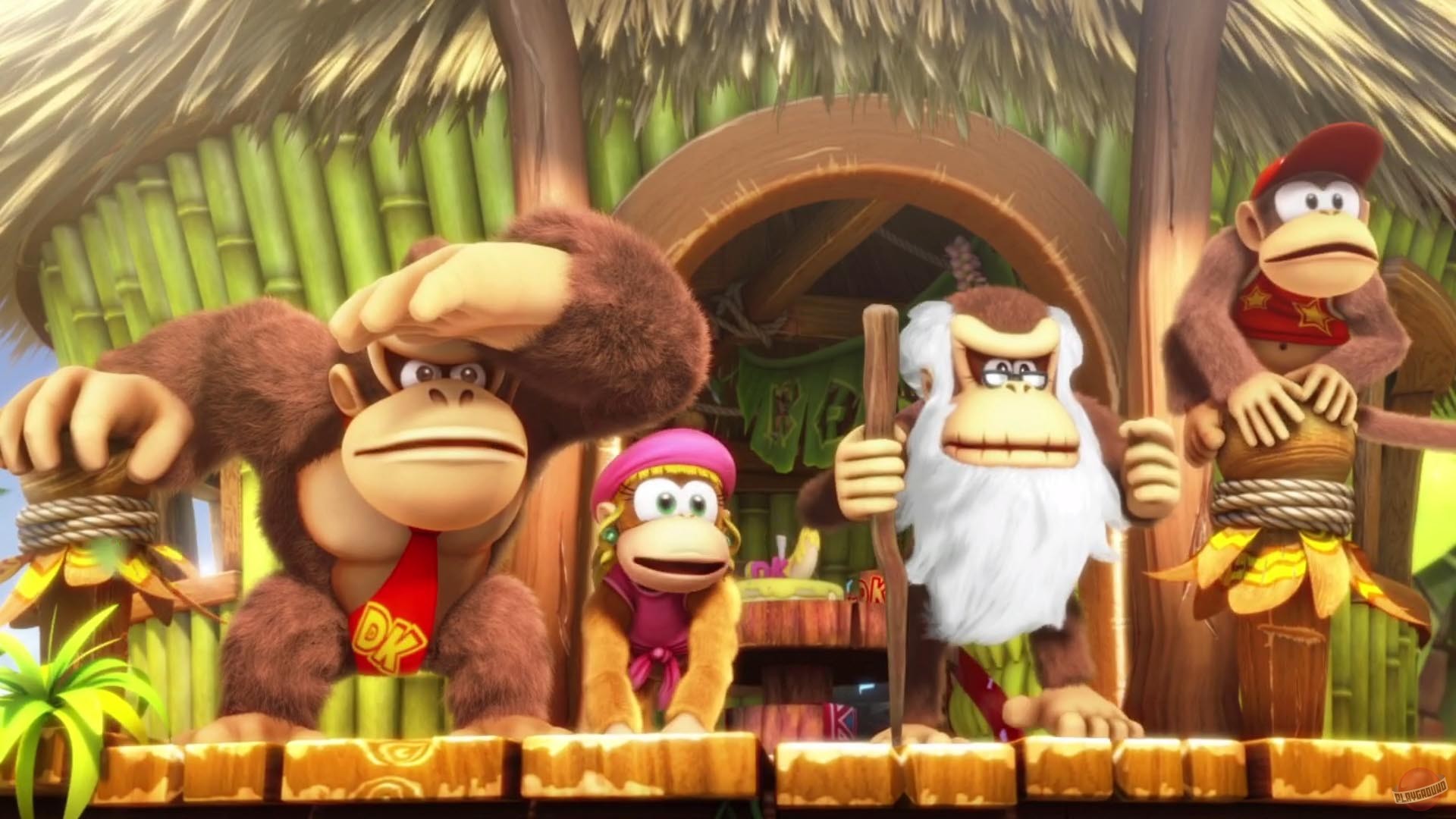 Скриншот из игры Donkey Kong Country: Tropical Freeze - 24