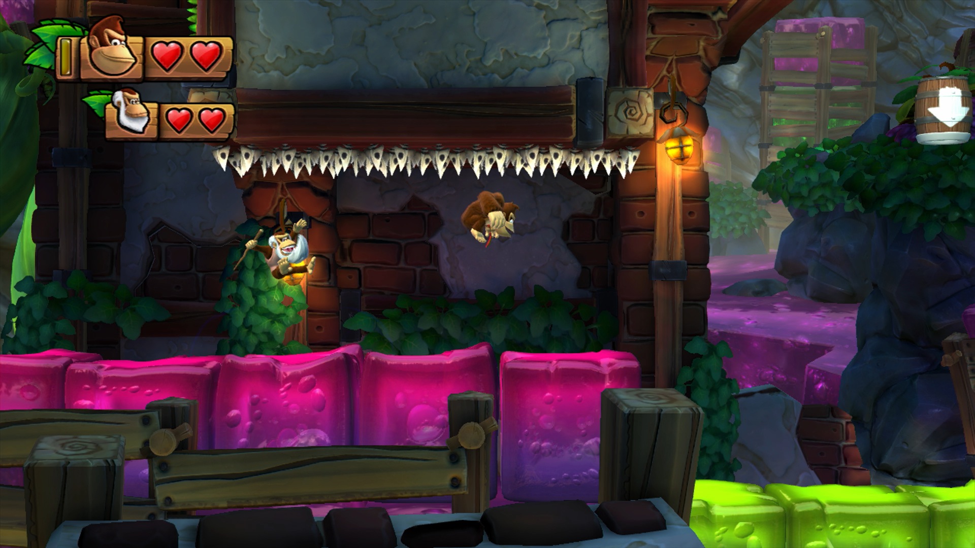 Скриншот из игры Donkey Kong Country: Tropical Freeze - 68