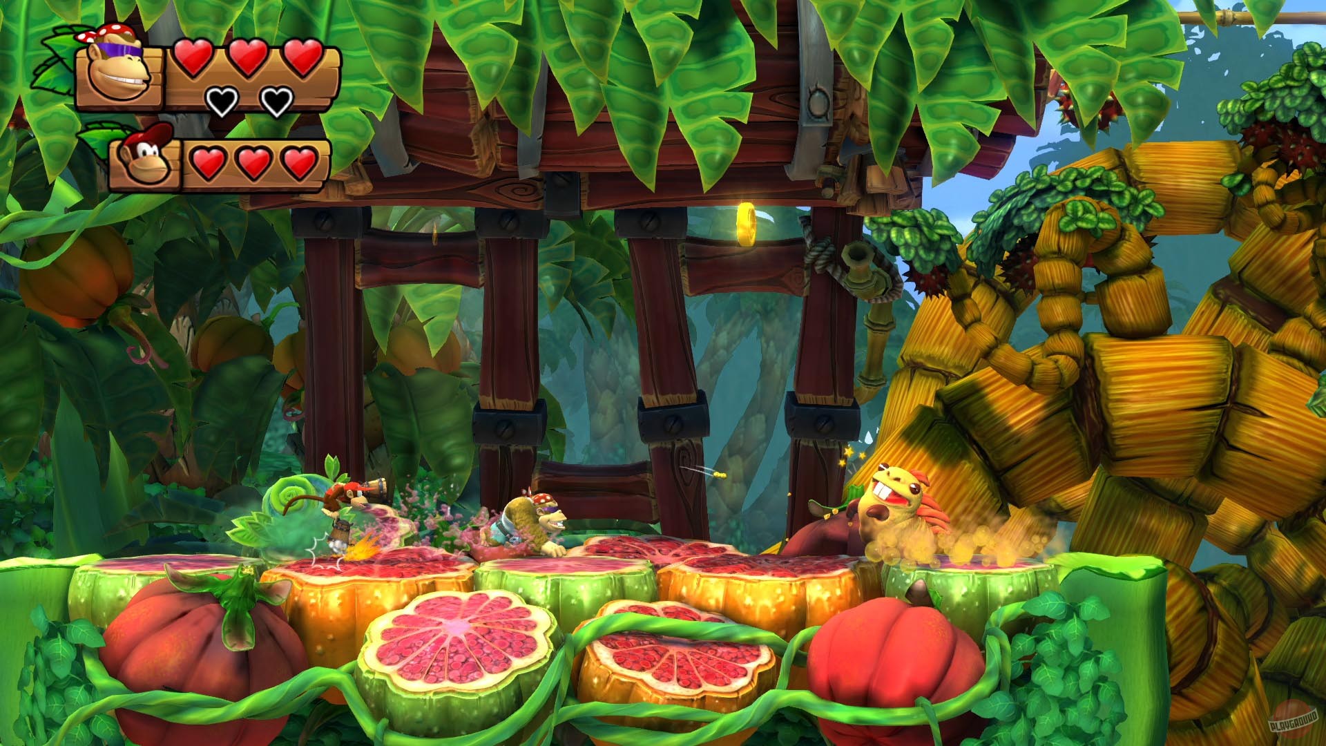 Скриншот из игры Donkey Kong Country: Tropical Freeze - 11