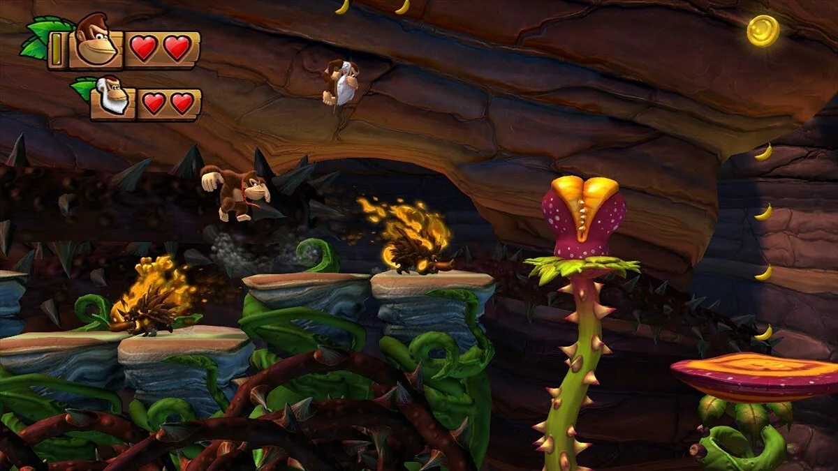 Скриншот из игры Donkey Kong Country: Tropical Freeze - 26