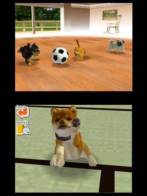 Скриншот из игры Nintendogs: Best Friends - 1